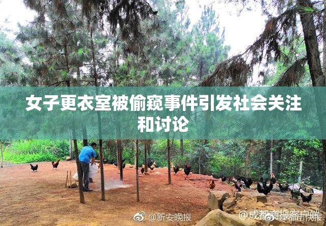 女子更衣室被偷窥事件引发社会关注和讨论
