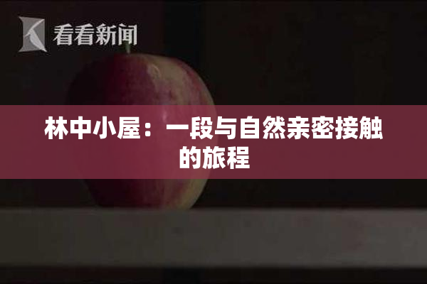 林中小屋：一段与自然亲密接触的旅程