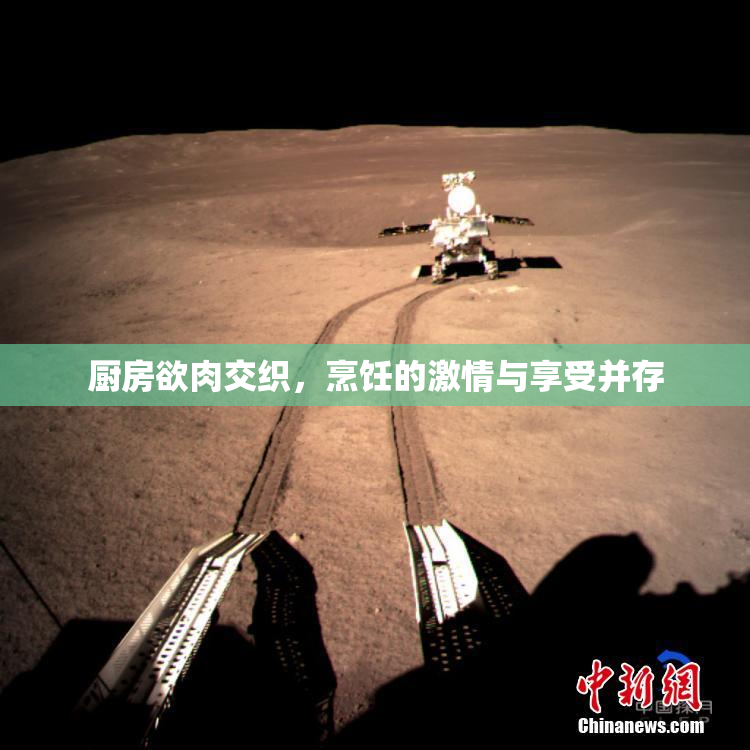 厨房欲肉交织，烹饪的激情与享受并存
