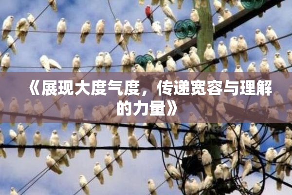 《展现大度气度，传递宽容与理解的力量》