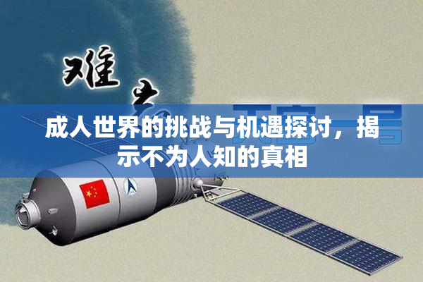 成人世界的挑战与机遇探讨，揭示不为人知的真相