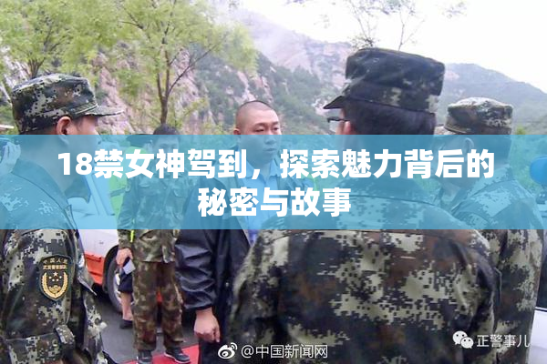 18禁女神驾到，探索魅力背后的秘密与故事