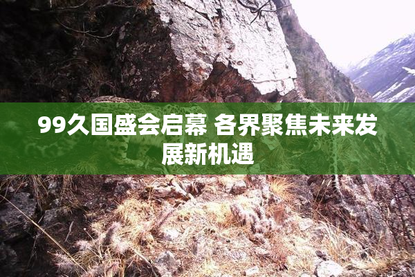 99久国盛会启幕 各界聚焦未来发展新机遇