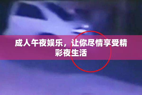 成人午夜娱乐，让你尽情享受精彩夜生活