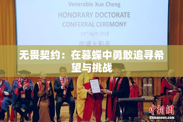 无畏契约：在暮蝶中勇敢追寻希望与挑战
