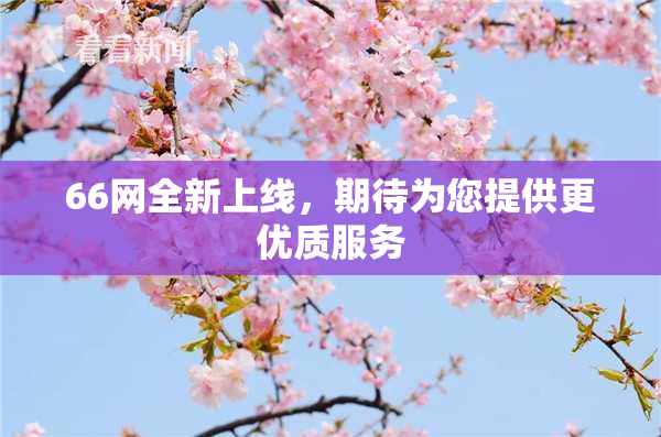 66网全新上线，期待为您提供更优质服务