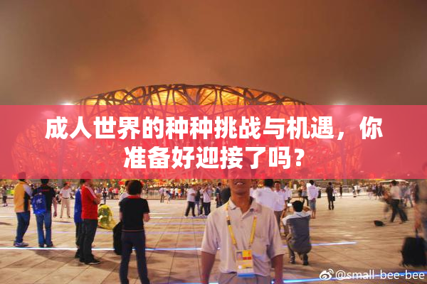 成人世界的种种挑战与机遇，你准备好迎接了吗？
