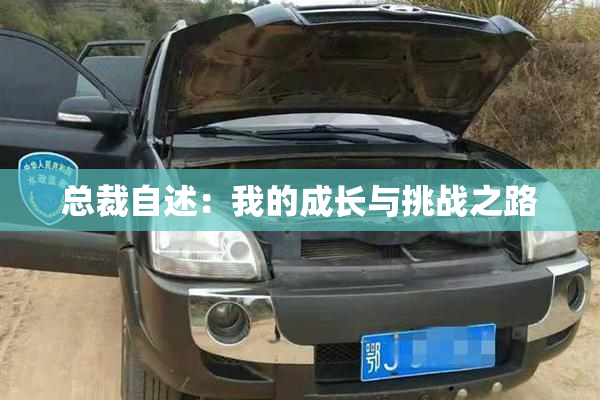 总裁自述：我的成长与挑战之路