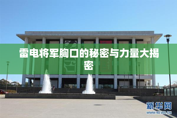 雷电将军胸口的秘密与力量大揭密