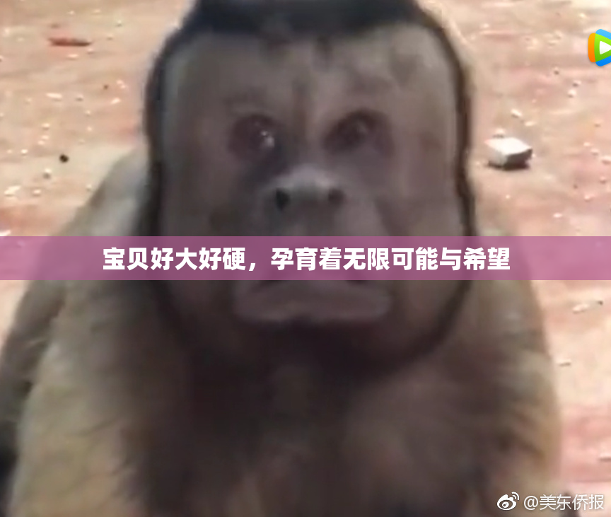 宝贝好大好硬，孕育着无限可能与希望