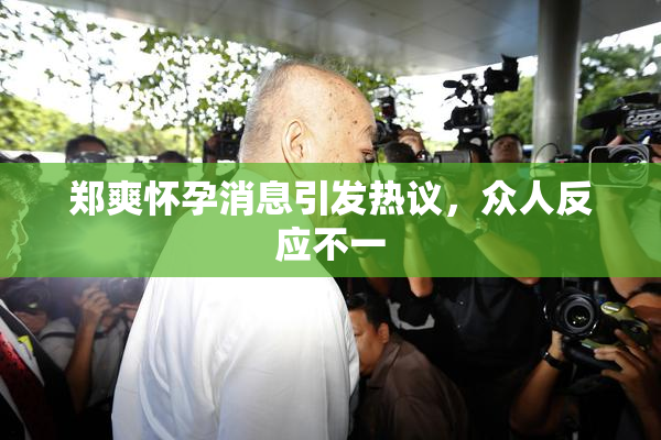 郑爽怀孕消息引发热议，众人反应不一