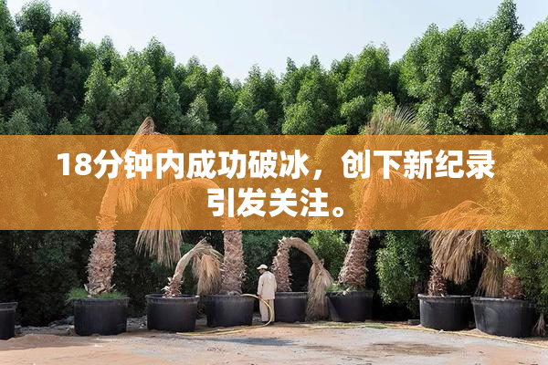 18分钟内成功破冰，创下新纪录引发关注。
