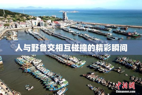 人与野鲁交相互碰撞的精彩瞬间