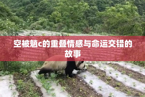 空被魈c的重叠情感与命运交错的故事