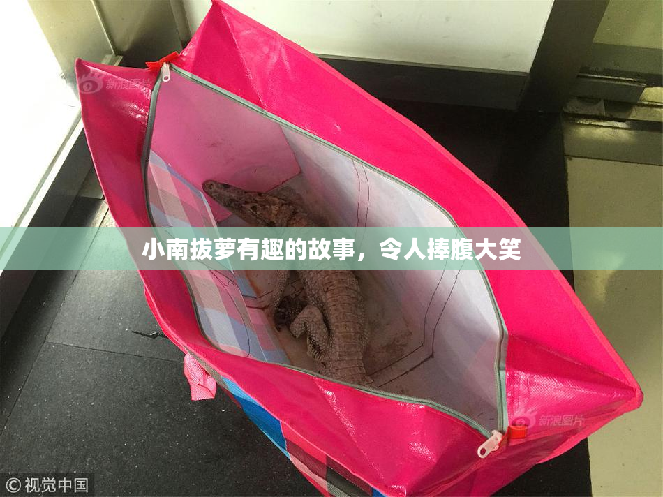 小南拔萝有趣的故事，令人捧腹大笑