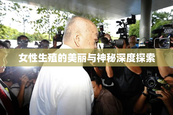 女性生殖的美丽与神秘深度探索