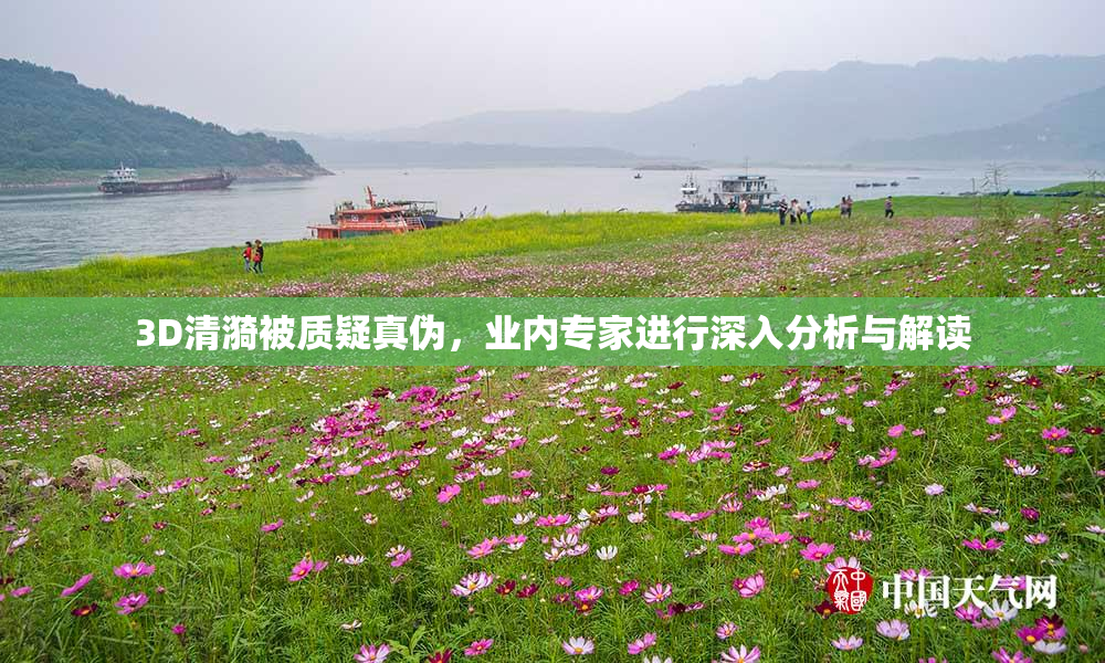 3D清漪被质疑真伪，业内专家进行深入分析与解读