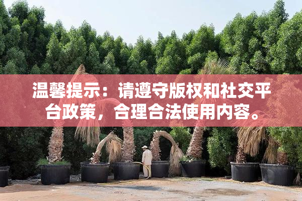 温馨提示：请遵守版权和社交平台政策，合理合法使用内容。