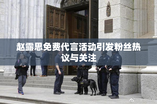 赵露思免费代言活动引发粉丝热议与关注