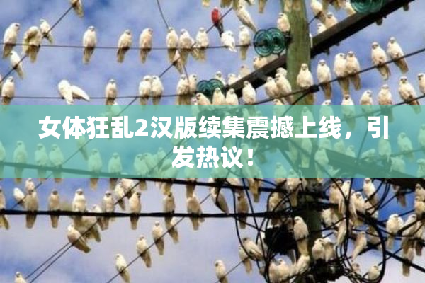女体狂乱2汉版续集震撼上线，引发热议！