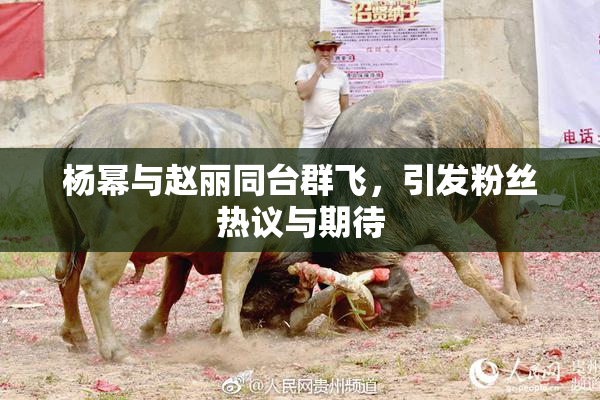 杨幂与赵丽同台群飞，引发粉丝热议与期待