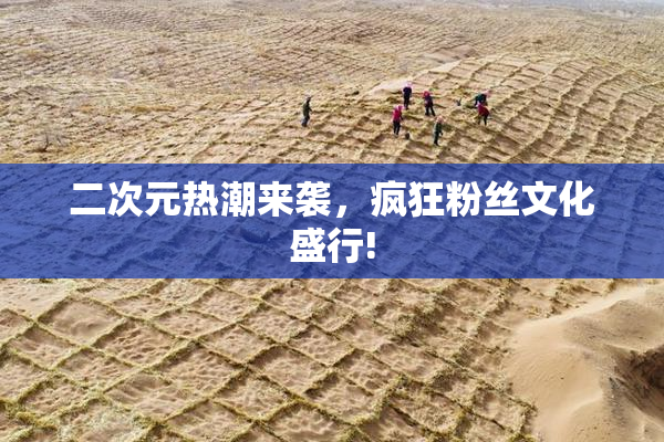 二次元热潮来袭，疯狂粉丝文化盛行!