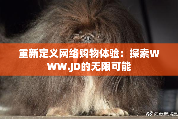 重新定义网络购物体验：探索WWW.JD的无限可能