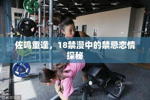 佐鸣重逢，18禁漫中的禁忌恋情探秘