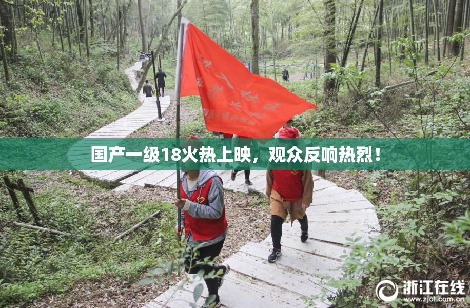 国产一级18火热上映，观众反响热烈！