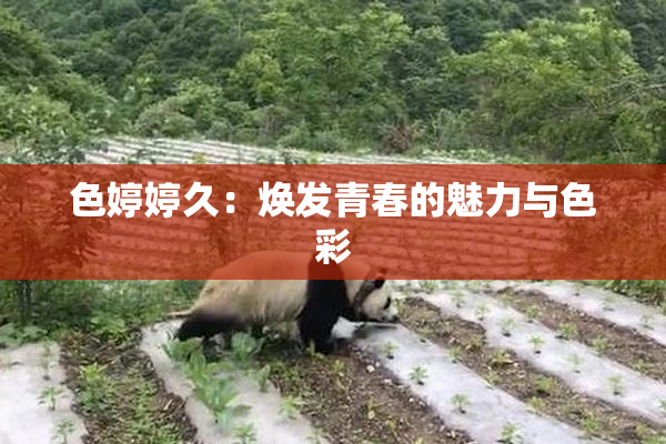 色婷婷久：焕发青春的魅力与色彩