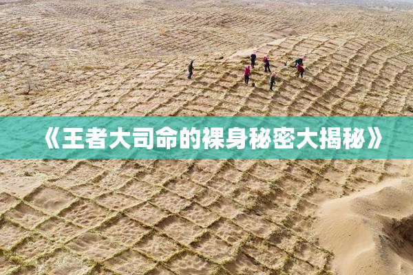 《王者大司命的裸身秘密大揭秘》