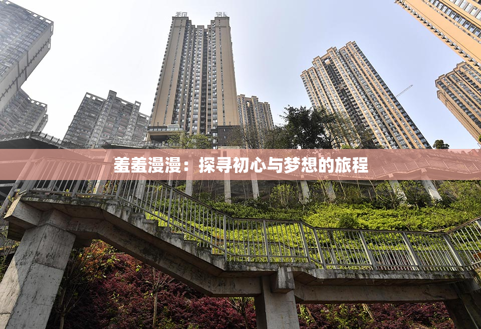 羞羞漫漫：探寻初心与梦想的旅程