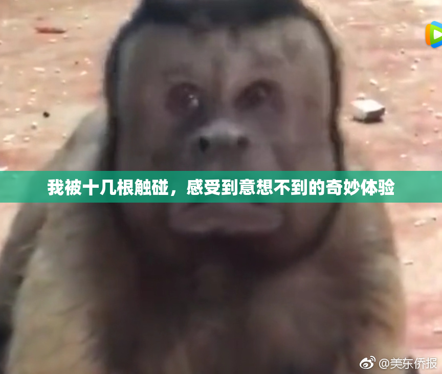 我被十几根触碰，感受到意想不到的奇妙体验