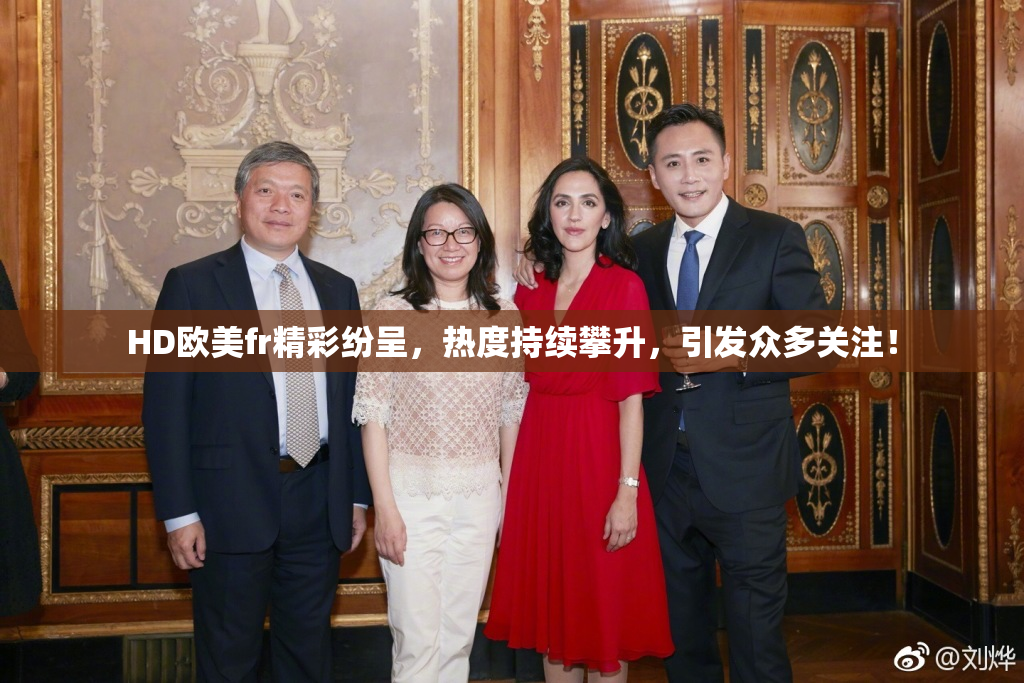 HD欧美fr精彩纷呈，热度持续攀升，引发众多关注！