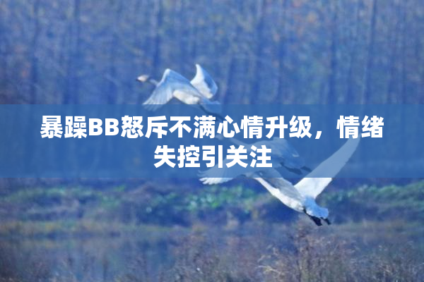 暴躁BB怒斥不满心情升级，情绪失控引关注