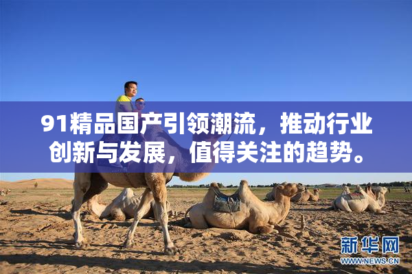 91精品国产引领潮流，推动行业创新与发展，值得关注的趋势。