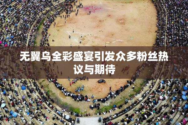 无翼乌全彩盛宴引发众多粉丝热议与期待