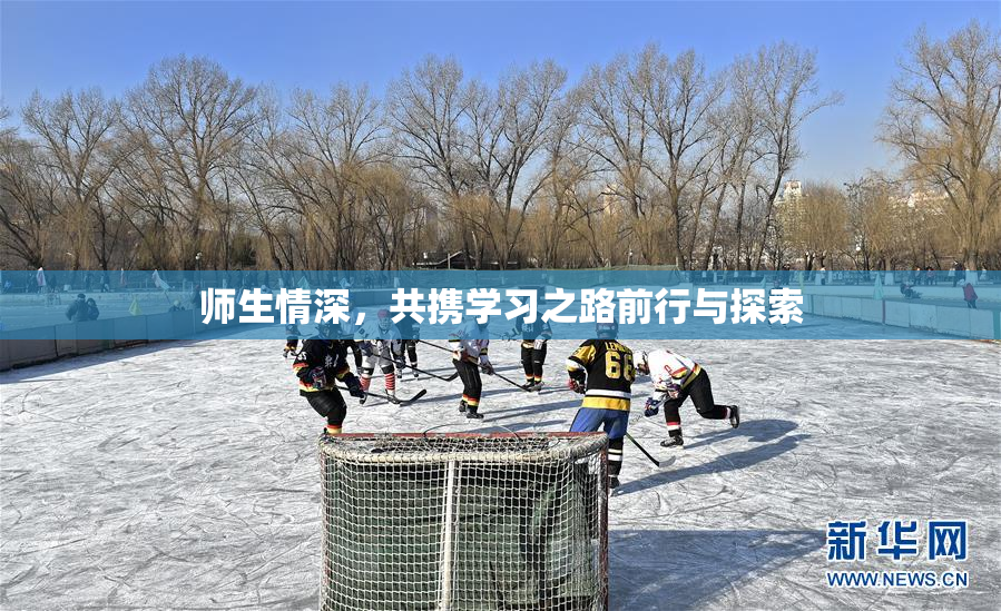 师生情深，共携学习之路前行与探索