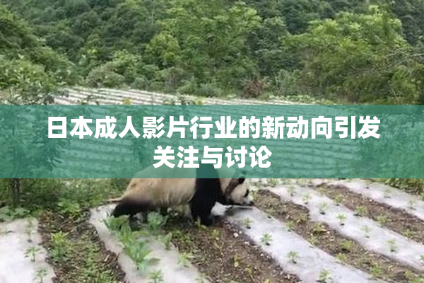 日本成人影片行业的新动向引发关注与讨论