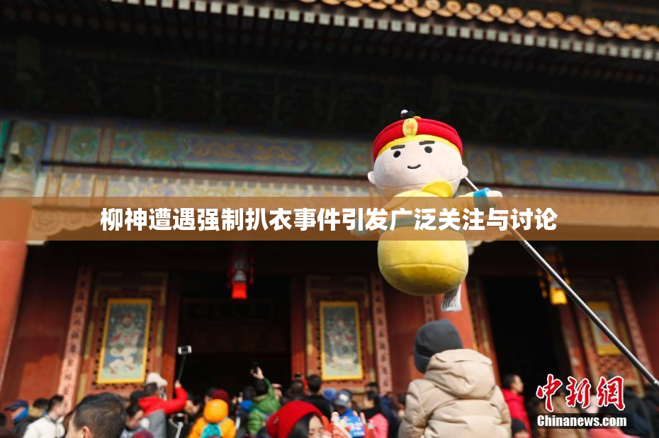 柳神遭遇强制扒衣事件引发广泛关注与讨论
