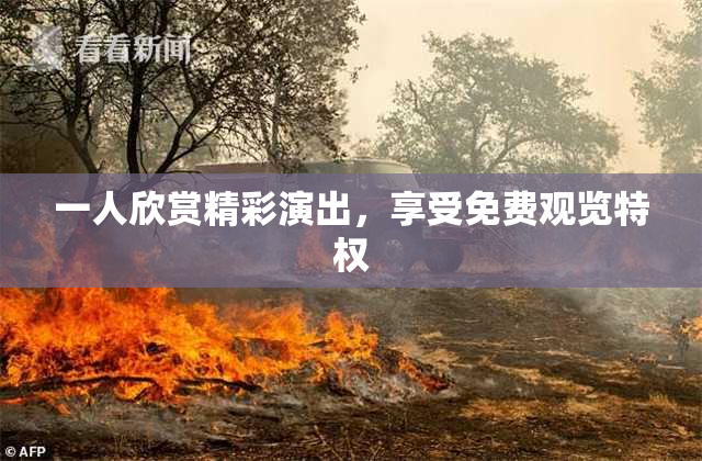 一人欣赏精彩演出，享受免费观览特权