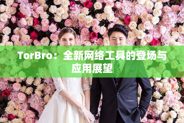 TorBro：全新网络工具的登场与应用展望