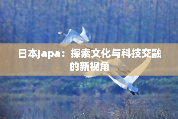 日本Japa：探索文化与科技交融的新视角