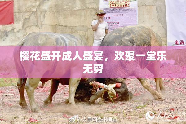 樱花盛开成人盛宴，欢聚一堂乐无穷