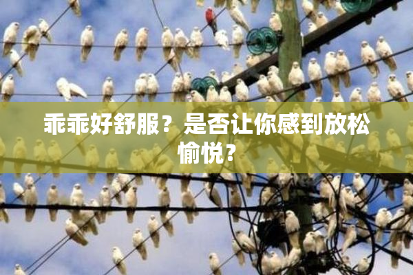 乖乖好舒服？是否让你感到放松愉悦？