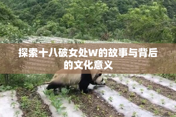 探索十八破女处W的故事与背后的文化意义