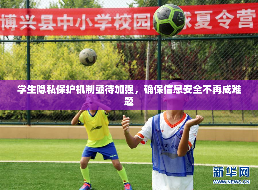 学生隐私保护机制亟待加强，确保信息安全不再成难题