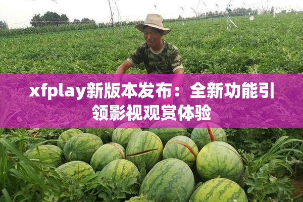 xfplay新版本发布：全新功能引领影视观赏体验