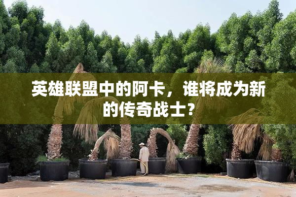 英雄联盟中的阿卡，谁将成为新的传奇战士？