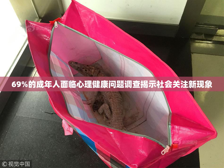 69%的成年人面临心理健康问题调查揭示社会关注新现象